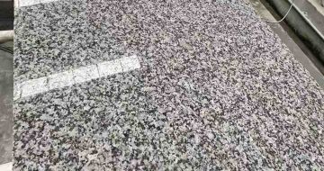 银川 芙蓉白光面