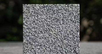 银川 芝麻黑荔枝面