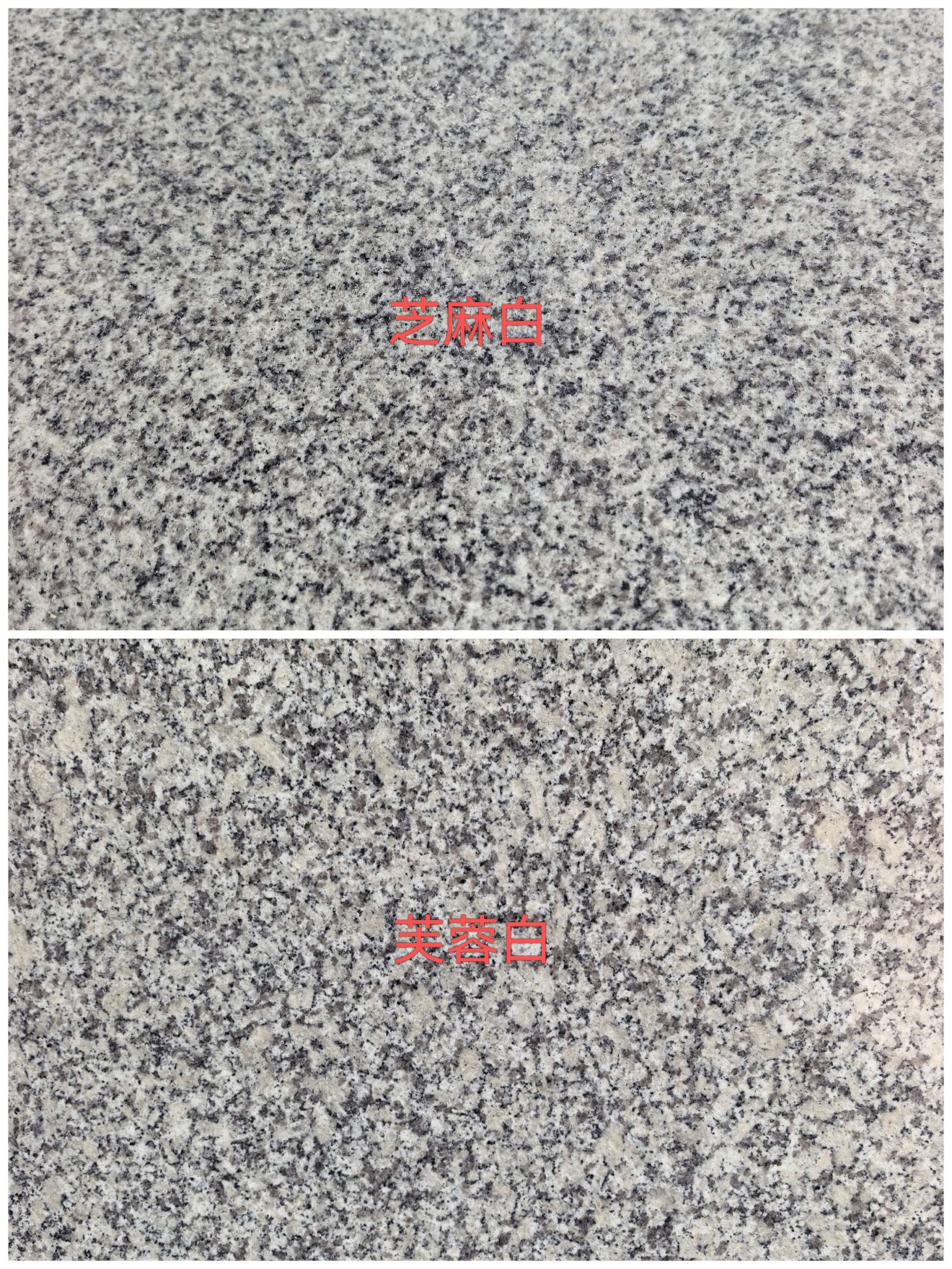 银川 芝麻白和芙蓉白的区别