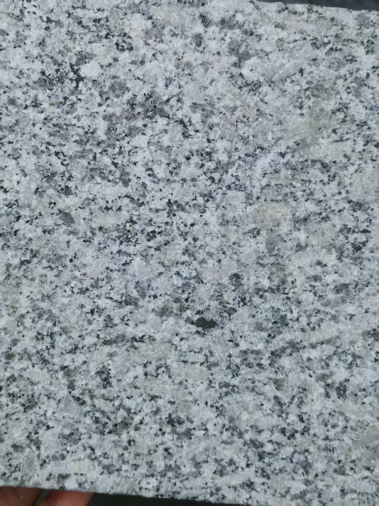 银川 芙蓉白火烧面