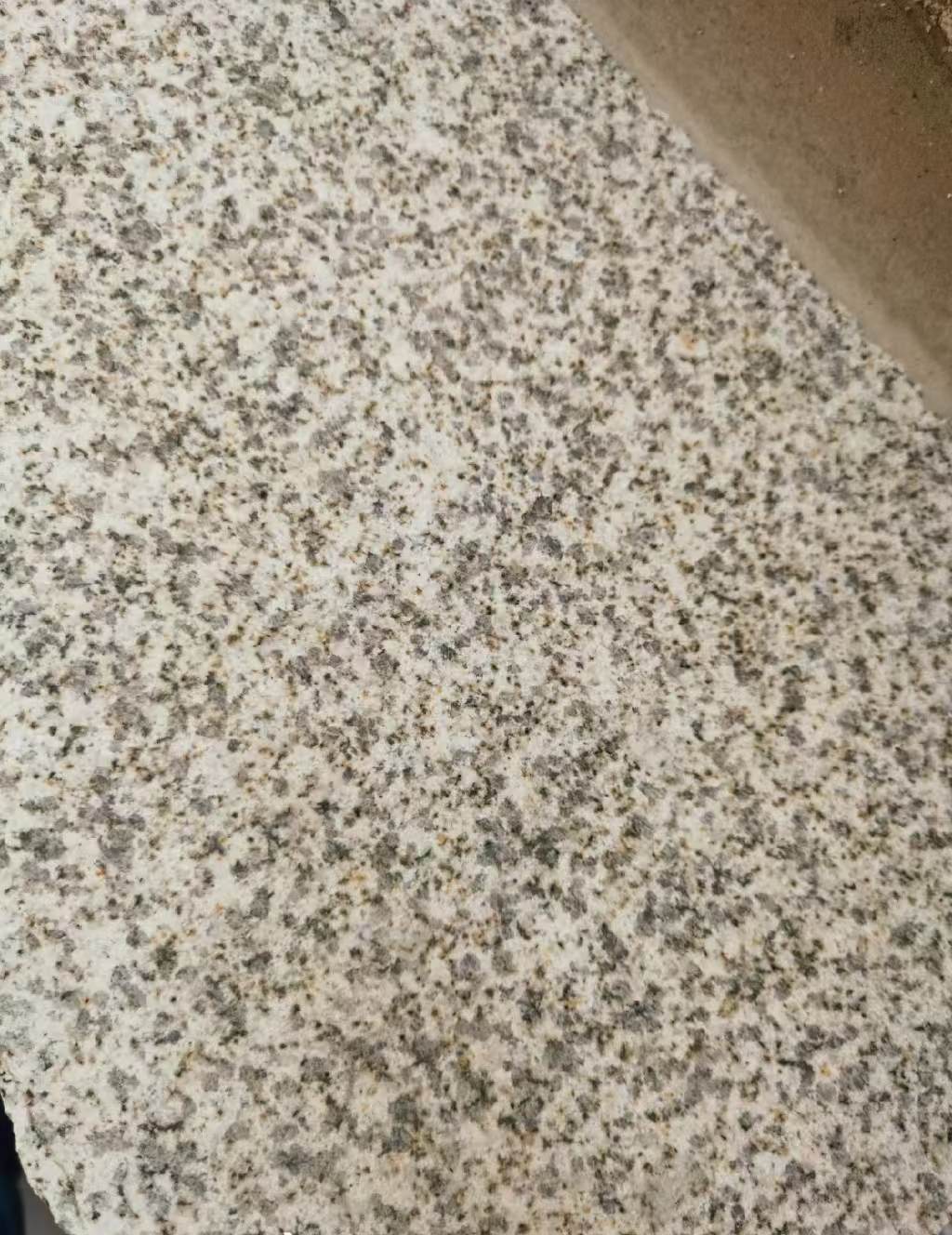 银川 黄金麻中黄光面